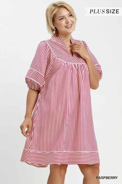 Plus Size Vestido Brandi